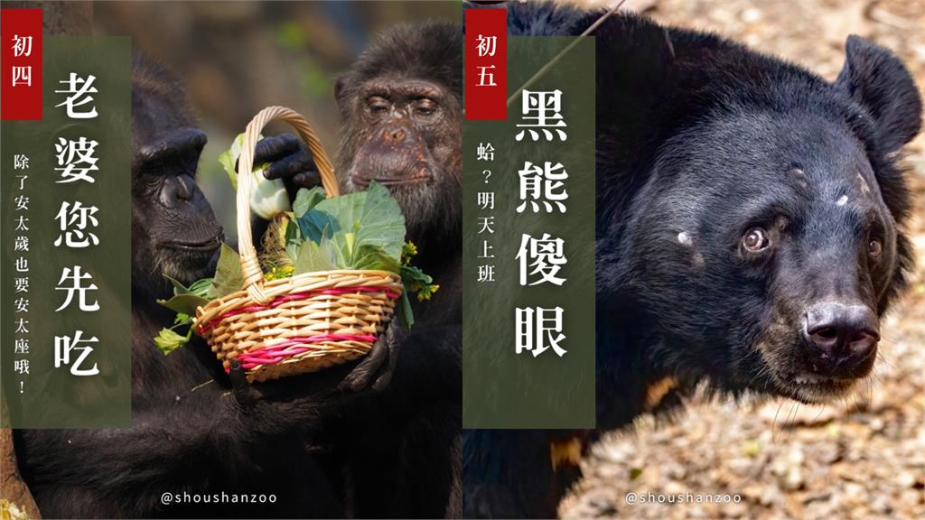 壽山動物園曬「萌萌習俗懶人包」!每隻表情都超傳神 工讀生出來!壽山動物園曬「萌萌習俗懶人包」 動物明星表情超到位