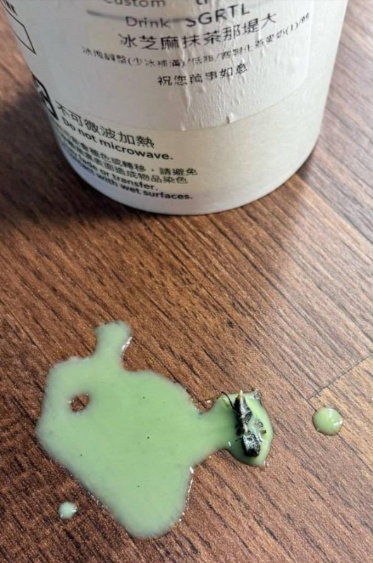 再爆食安疑慮?連鎖咖啡店遭控「吸到蒼蠅」冒出數隻蛆:還得急性腸胃炎