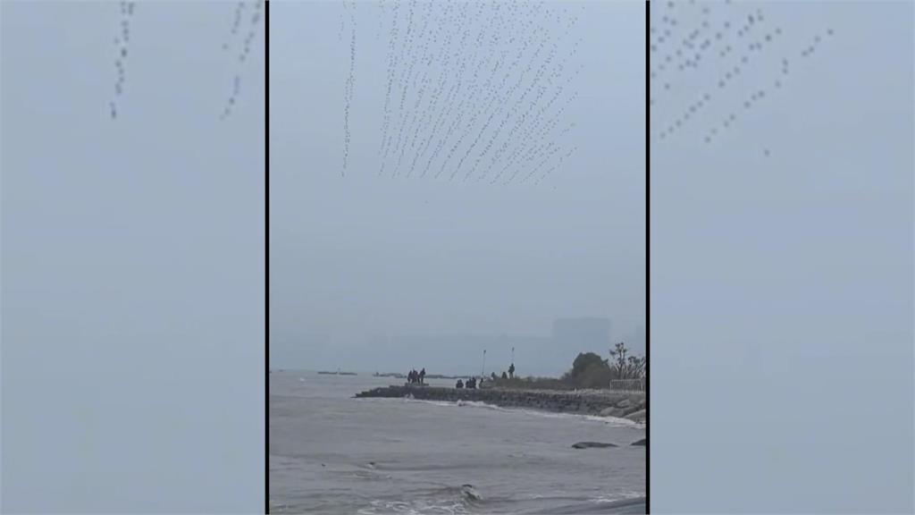 蔡國強泉州煙花秀意外中斷　大量無人機砸地墜海