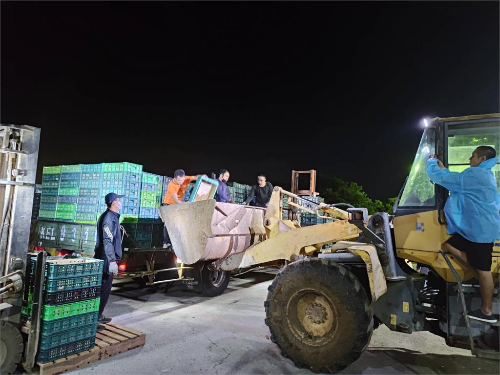 芬普尼毒蛋燒不停！　彰檢搜蛋行帶回負責人　訊後20萬交保