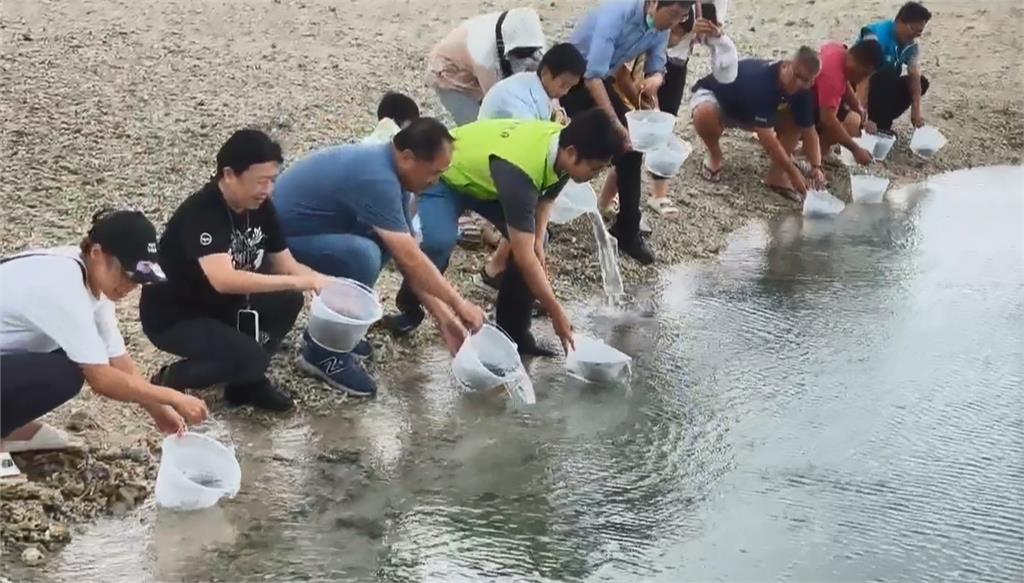 澎湖馬公舉辦放流活動　推動海洋保育永續觀念