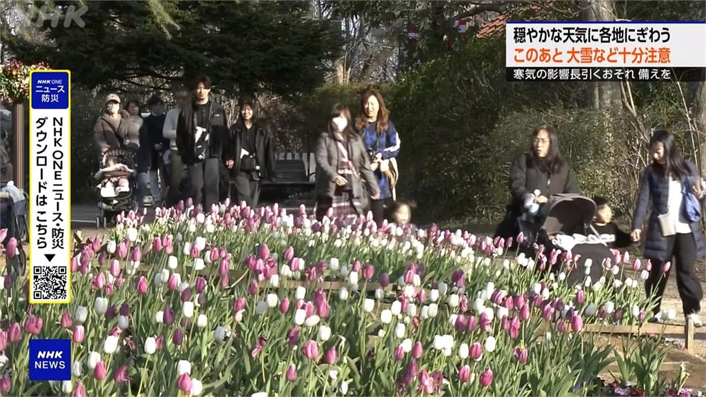 日本又變天！週三起降溫　北部、沿岸恐降下大雪