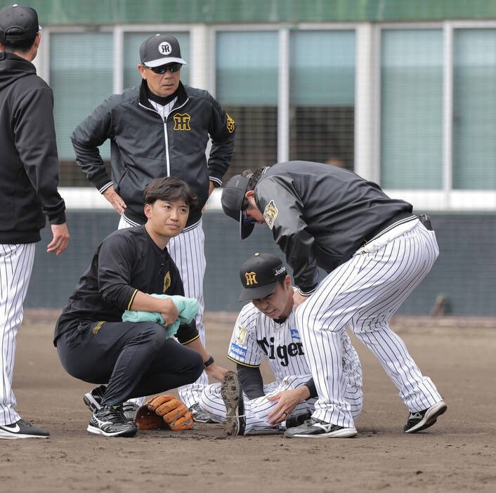經典賽／日本牛棚連環傷退！平良海馬、石井大智相繼辭退　日媒：對投手戰力影響不小