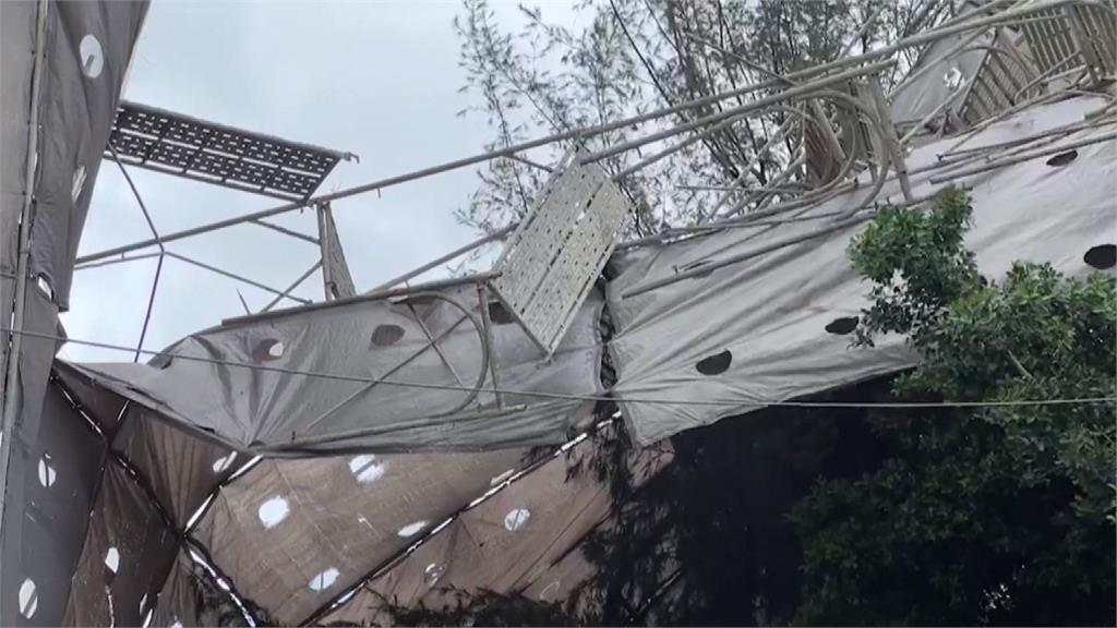 彰化颳陣陣強風 大樓鷹架倒下那1秒...大樹扛住