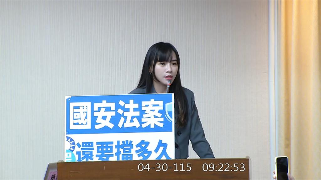  國安法修法藍綠互槓 葛如鈞稱"台獨也須納入"引網轟