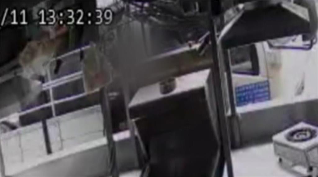 囂張!一中商圈竊賊出沒 貨車司機收貨遭闖車搜刮財物