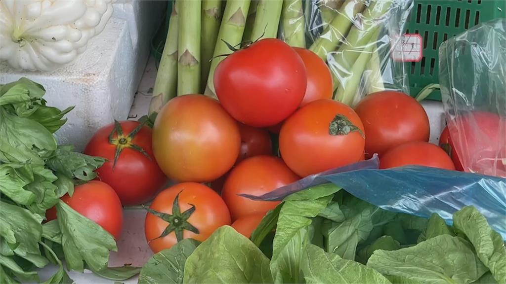 牛番茄開花不結果 收成不佳每公斤飆破70元