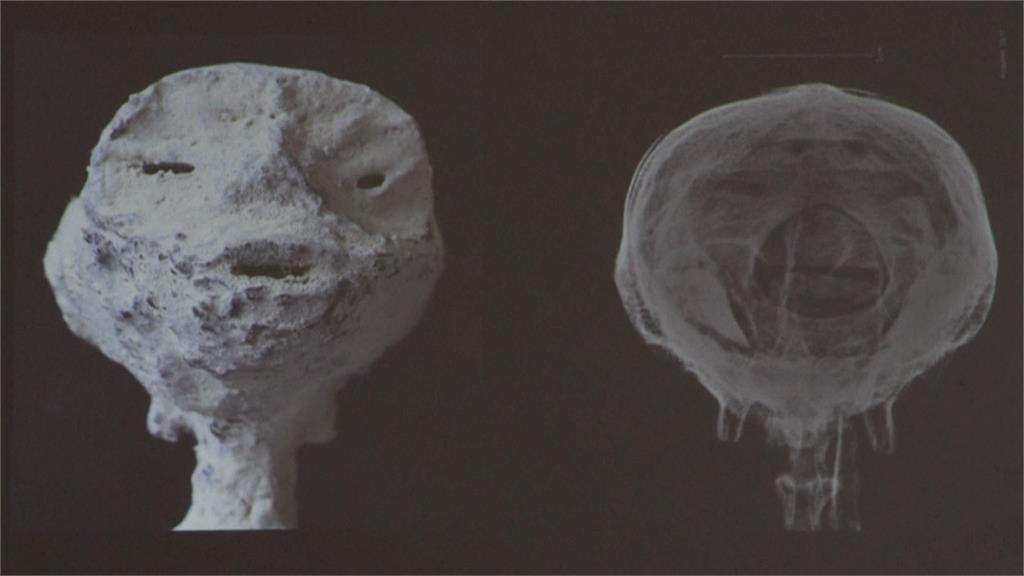 宣稱發現千年外星木乃伊遺骸　墨西哥記者遭打臉「動物與人類骨骼拼成」