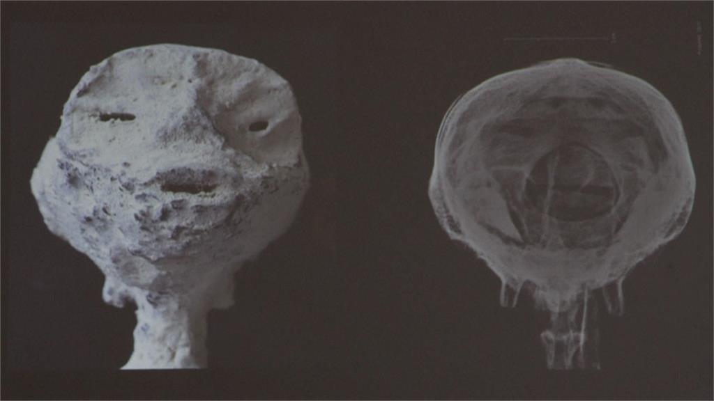宣稱發現千年外星木乃伊遺骸 墨西哥記者遭打臉「動物與人類骨骼拼成」