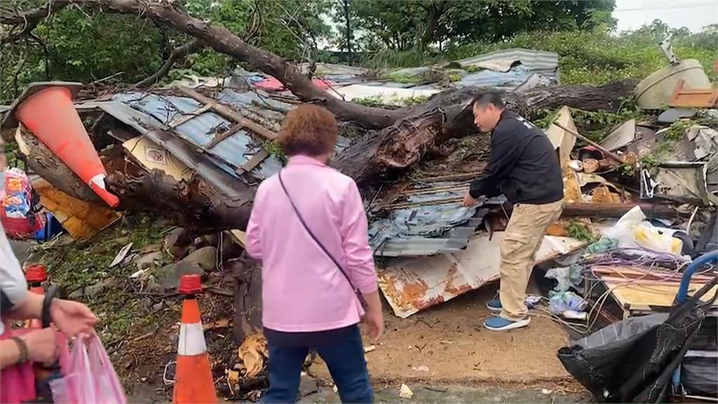 桃園大樹倒塌壓垮鐵皮屋　92歲老翁從縫隙爬出脫困