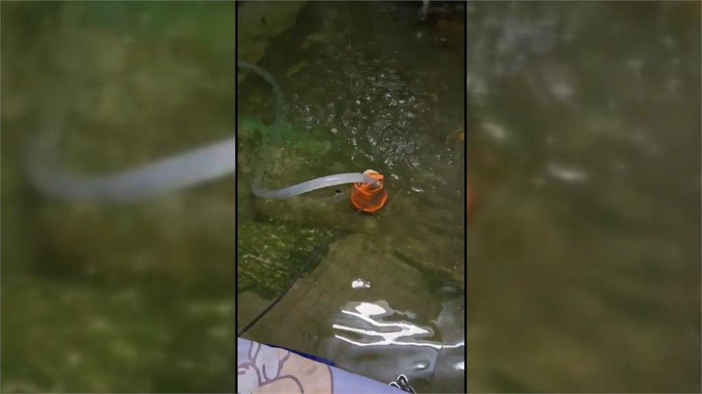 獨居老婦家中淹水逾一週！　兒事後才知「未列淹水戶」氣炸