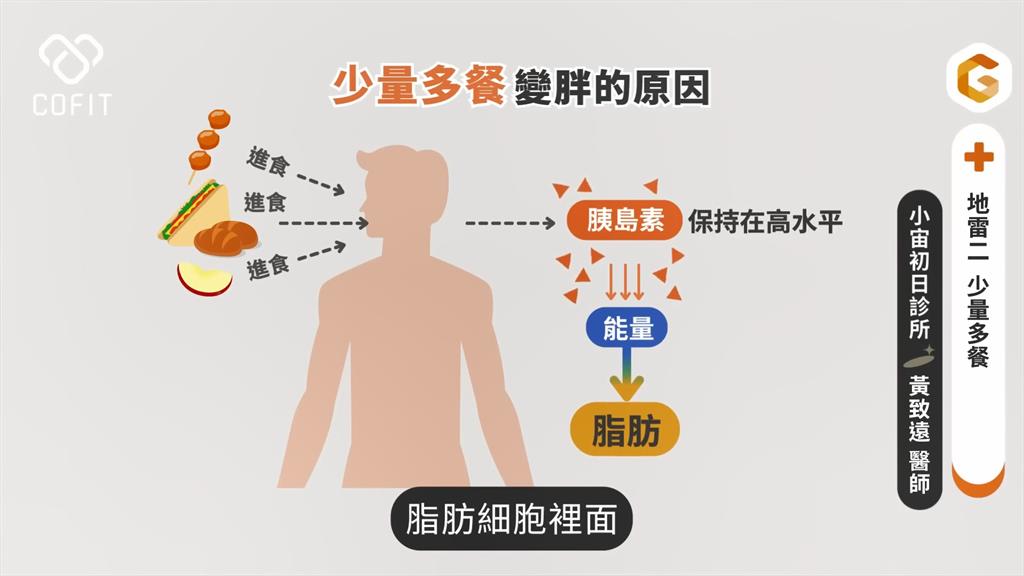 少量多餐更容易變胖？醫師曝減肥6地雷　推「間歇性斷食」防代謝問題