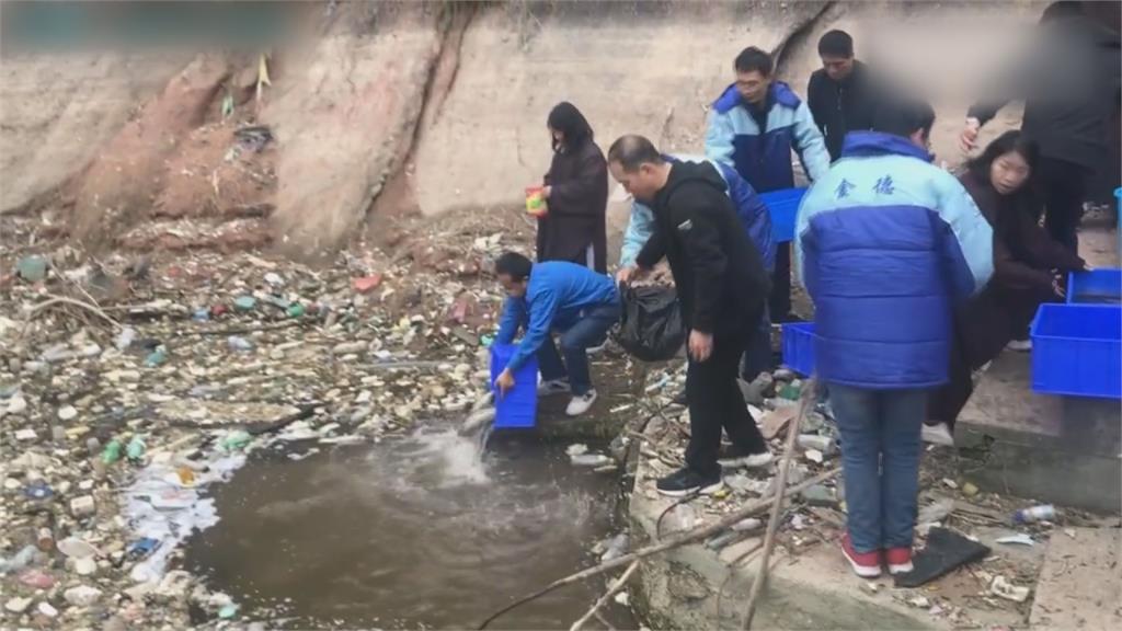 不可取！中國人將魚「放生垃圾河」自生自滅　網怒批：這是殺生