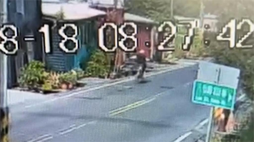 狗被毒死...飼主自扮柯南揪凶手 竟是8旬親戚!犯案過程全被拍下