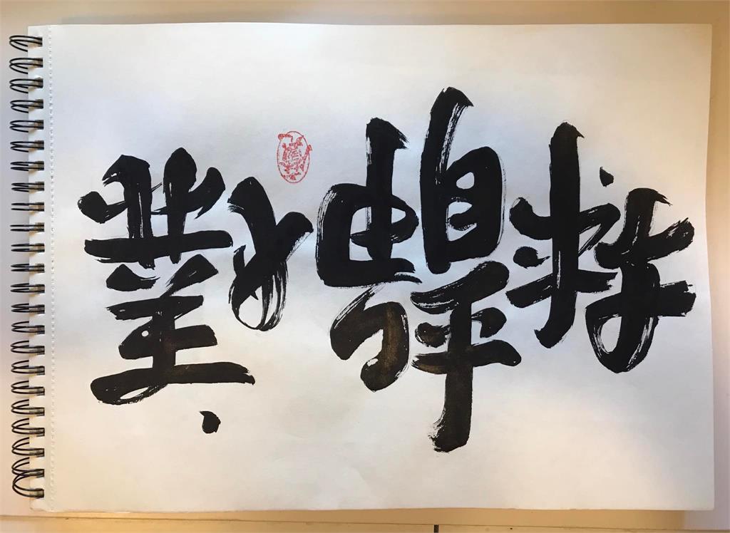 文字大師設計「林靜儀」姓名暗藏6字玄機!本人見細節秒讚:贏回正義