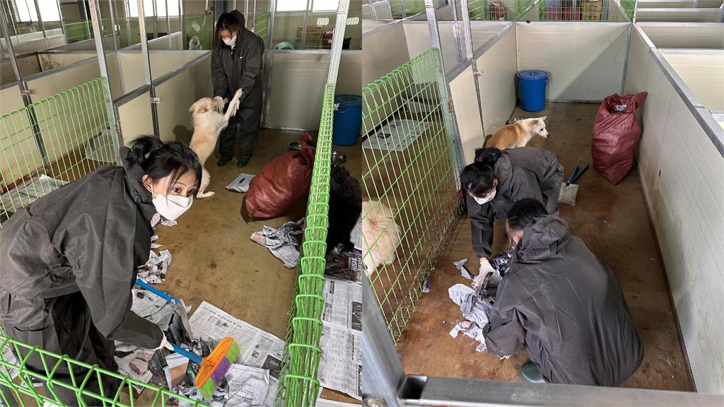 野生子瑜現身動物之家當志工！「親手掃垃圾」全被拍…網讚：人間天使