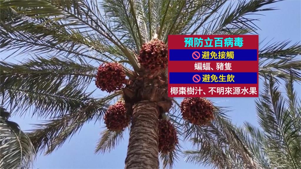 印度立百病毒5人確診！　致死率達75％　疾管署：3月列法定傳染病