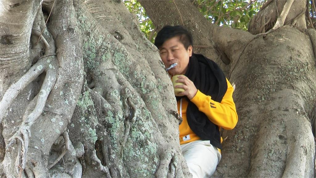 綜藝天王胡瓜扮成榕樹讓地方阿姨蹭蹭樂！阿翔呼朋引「嬤」挑戰被巴頭