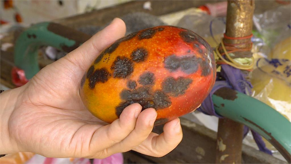 水果發霉削掉還能繼續吃?營養點名「這情況」恐提高肝癌風險!