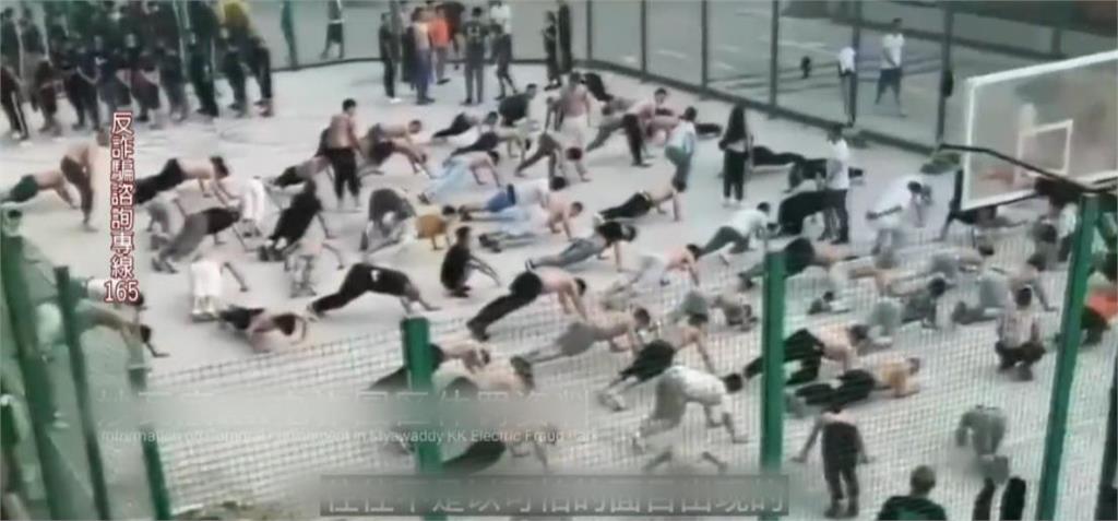 異言堂(影)/掏金夢碎柬埔寨! 台韓青年淪為詐騙集團「豬仔」