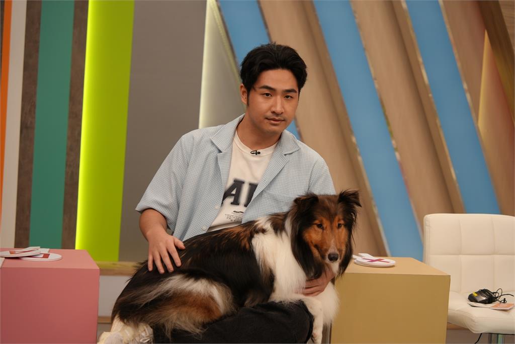 《醫學大聯盟》鹿希派超狂養12隻狗!與貓同住「互不理會」