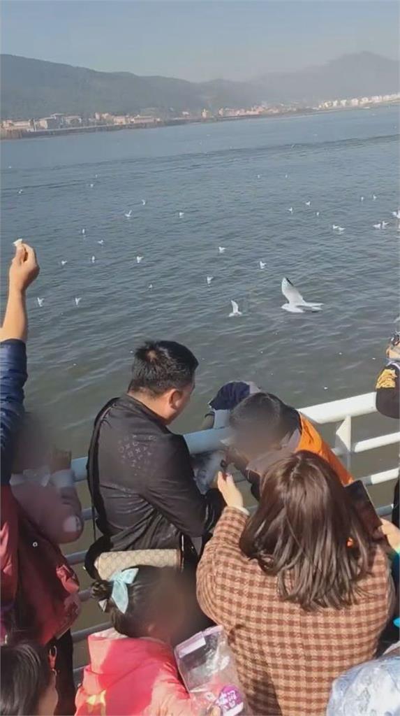 狼性爆發！中國屁孩「抓海鷗塞罐子」父母竟協助　目擊者：制止三次了