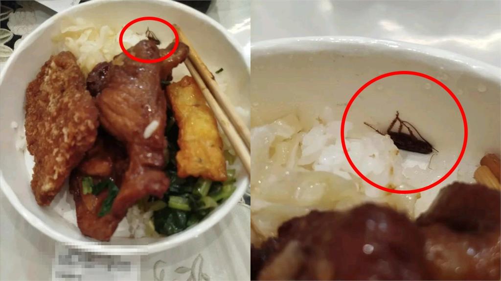 台鐵便當又出包!旅客「吃丸子咬不斷」疑藏塑膠繩 台鐵道歉將開罰供應商
