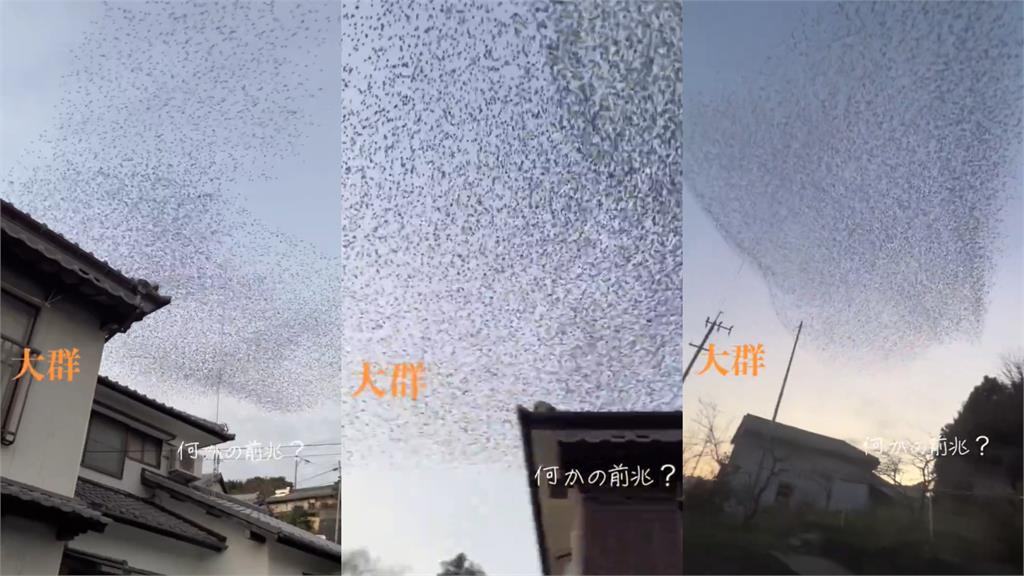 日本石川7.6強震前「異狀四起」!多地驚見「上萬烏鴉染黑天空」專家開口了