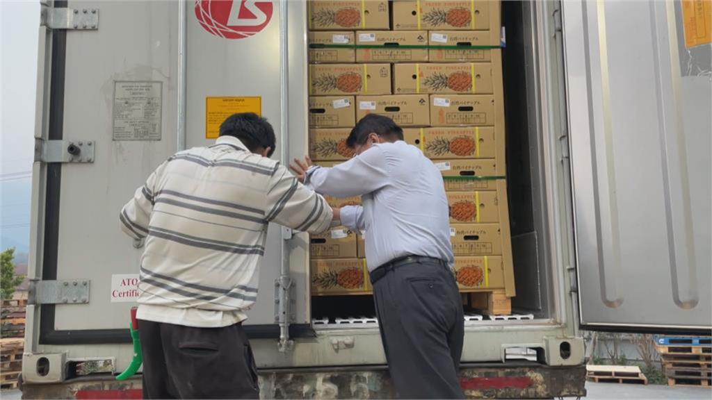 「吃爆鳳梨」運動紅到英國去!駐英公使倫敦分享台灣經驗:雞蛋別放同個籃子