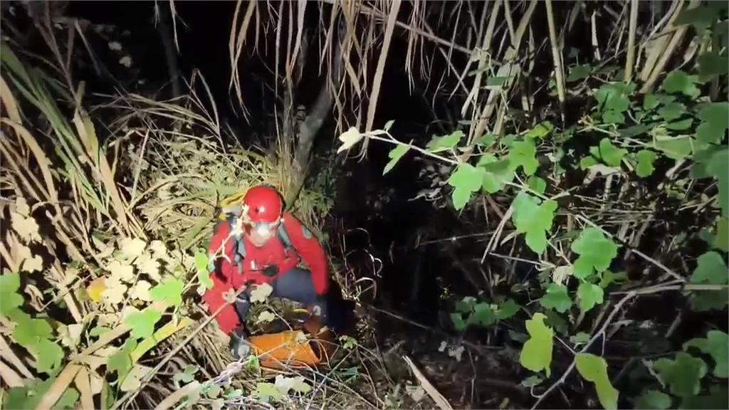 超幸運！　台14甲線車輛閃狗墜40米邊坡　駕駛獲救送醫