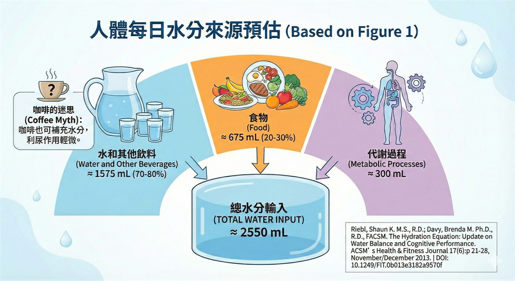 只喝咖啡跟茶不能補充水份？營養師「破解迷思」：連吃東西也是補水