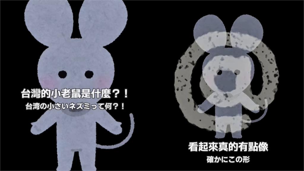 大阪妹被「台式用語」搞懵　網友笑翻：這只有台灣人懂！