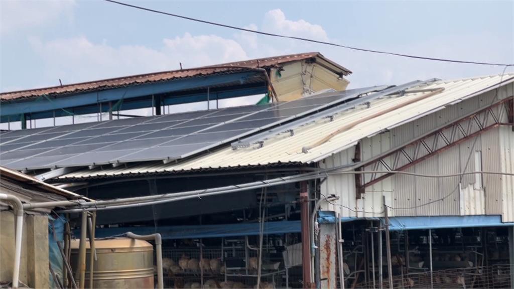 雲林拚綠能! 推農電共生 雞舍屋頂裝設太陽能光電板