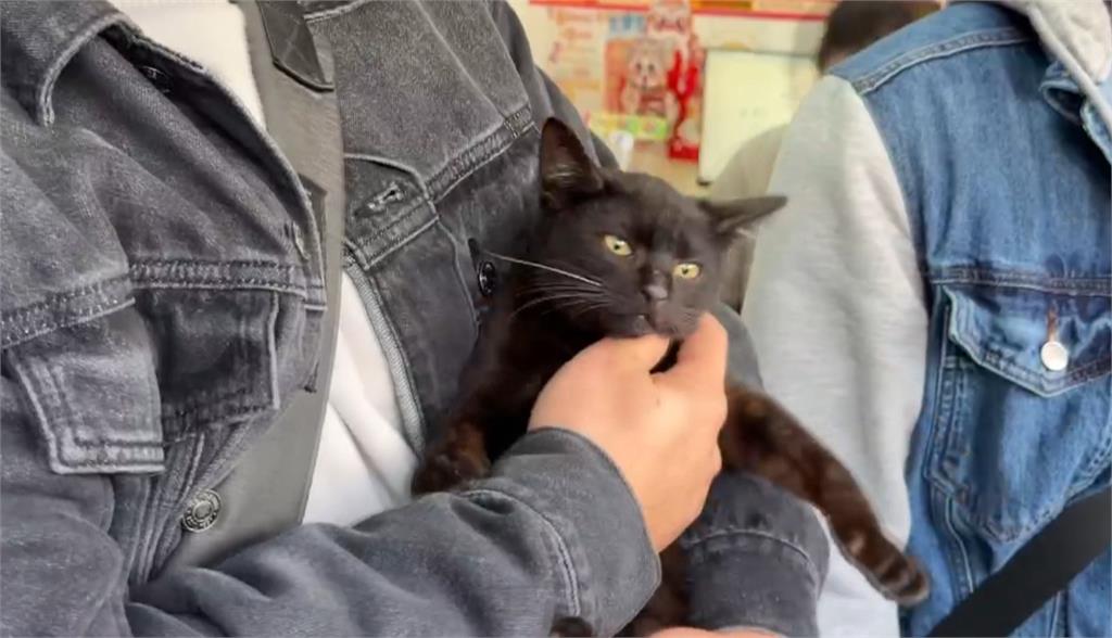 威力彩終結連30槓！　頭獎１３‧５億獎落新北、新竹