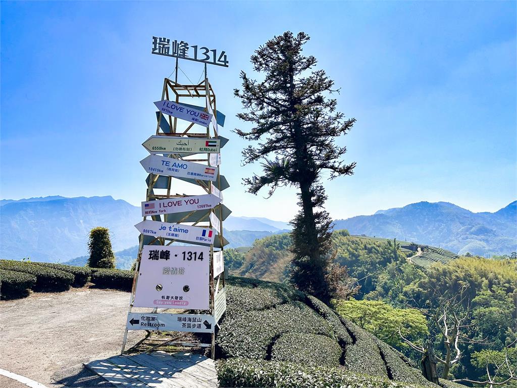 茶園、瀑布到紫藤花海　嘉義瑞里打造療癒系山林旅遊