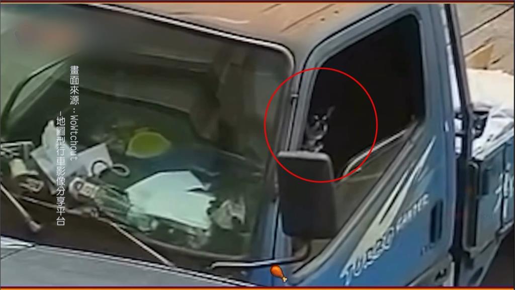 台中無人貨車衝撞路邊轎車　監視器曝光！駕駛座竟是「吉娃娃」