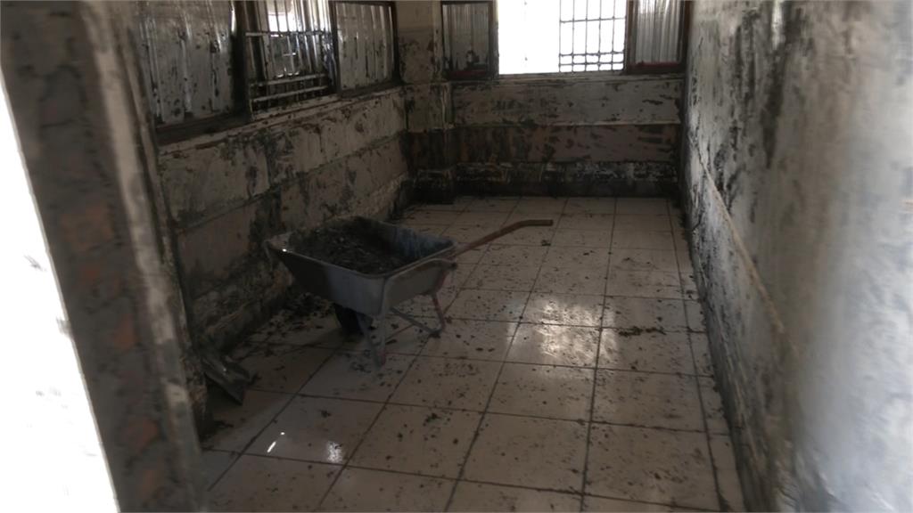 跑贏洪水的男人為鄉親喊話! 佛祖街"拖鞋阿公"提七大訴求