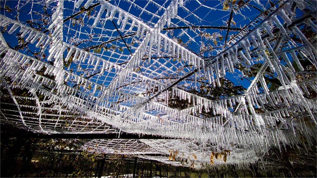 零下4.9度！武陵農場冰封絕美「水晶宮殿」曝掀網驚豔：心都飛了