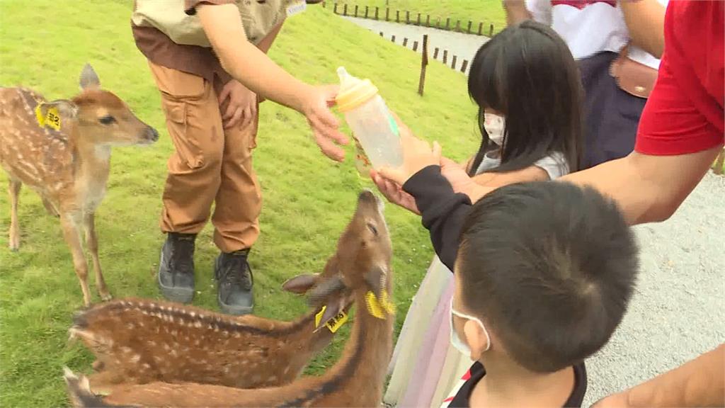 動物照護失當頻傳　宜蘭休閒農場實踐友善精神