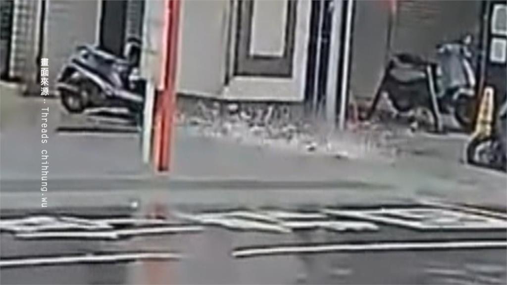 法籍男子首遇颱風　見狂風驟雨、路樹倒一片不敢置信