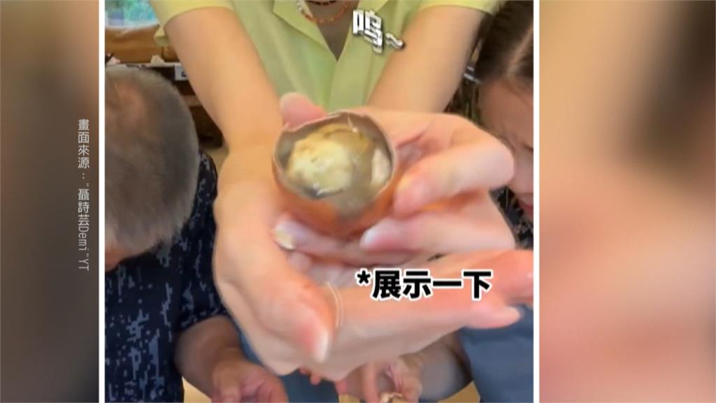 活體闖關?舔共女星帶「胚胎蛋」返台 農業部出手要查了!