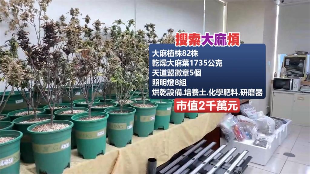 最危險地方最安全？　地檢署「３００公尺」外查獲大麻工廠
