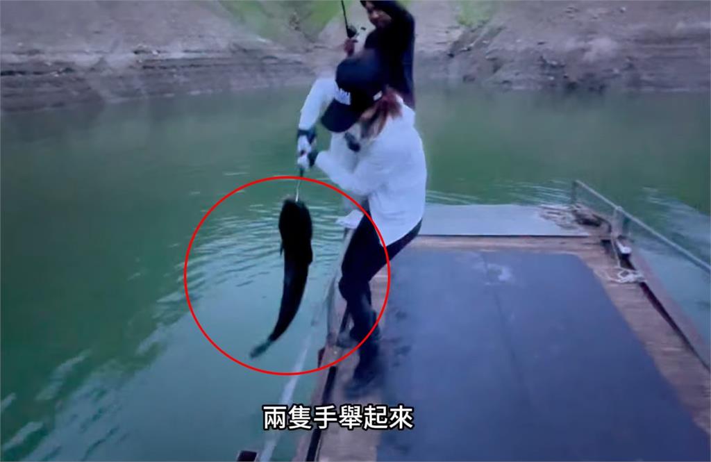 天冷「湖中惡霸」大爆發!4條巨胖魚虎成功落網…「最大尾14台斤」
