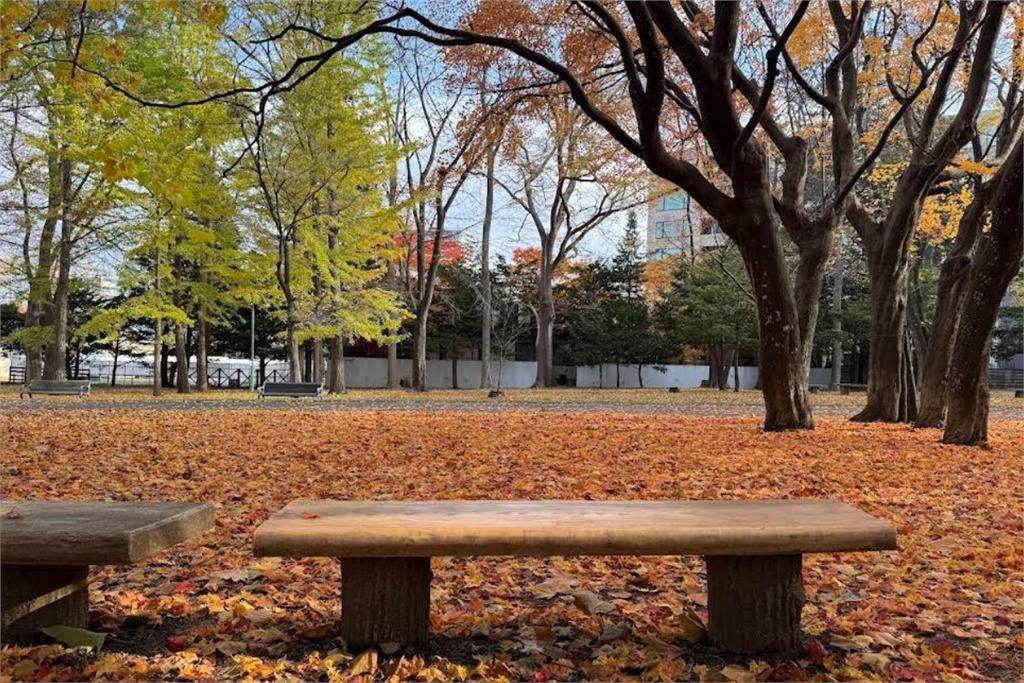 快新聞／出遊注意！美官方發布日本「熊害警示」　防熊噴霧出租大爆紅