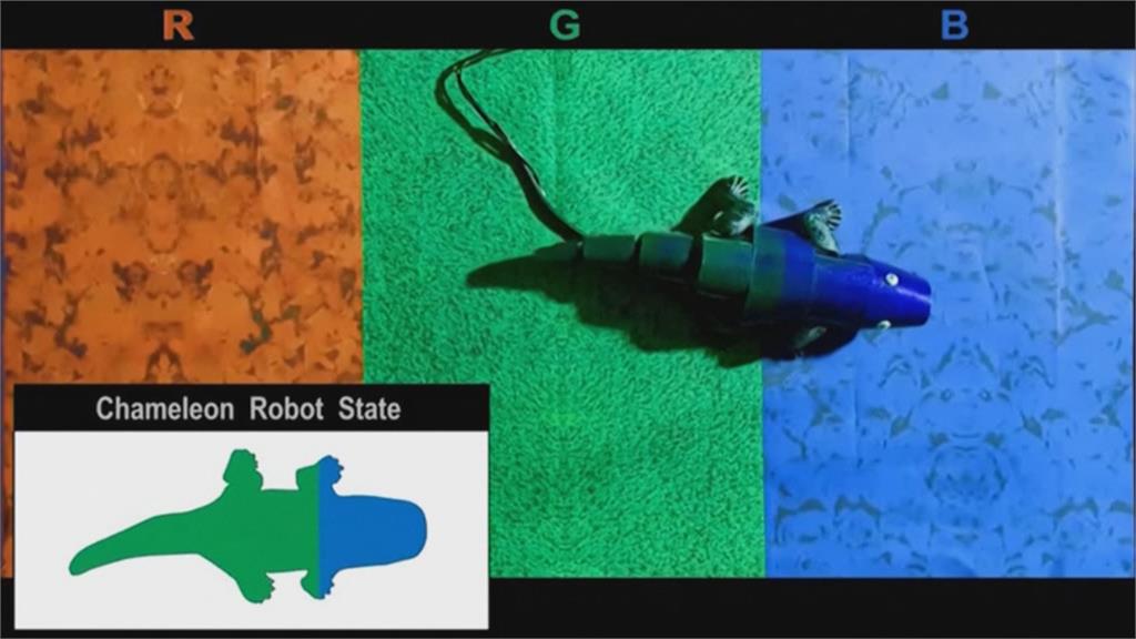 機器人偽裝變色技術　可望應用於現實世界