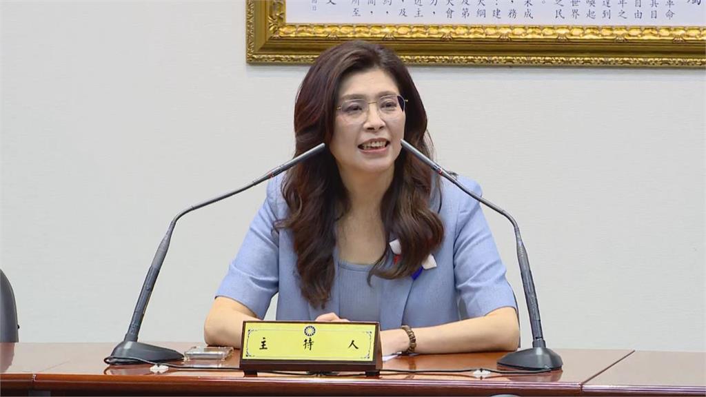 快新聞／打臉鄭麗文「全球一中」！黃子一揭10類國家立場　怒批：自我矮化