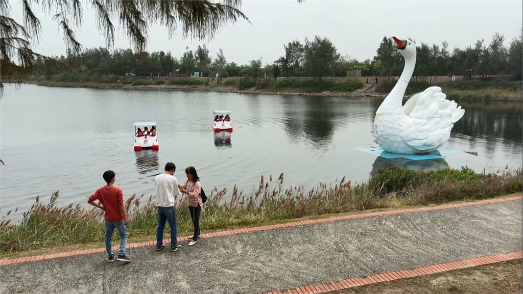 雲林天鵝湖嘉年華! 搭天鵝船賞美景、吃美食