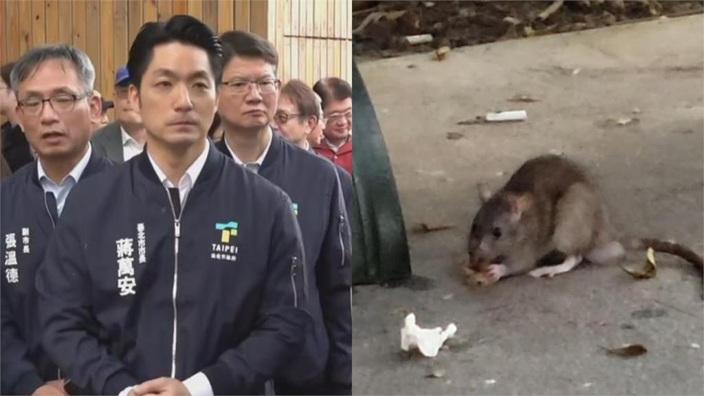 台北淪「米奇樂園」蔣萬安猛被批！莊瑞雄親揭「56年前全台1招狂滅」：切尾巴可以…