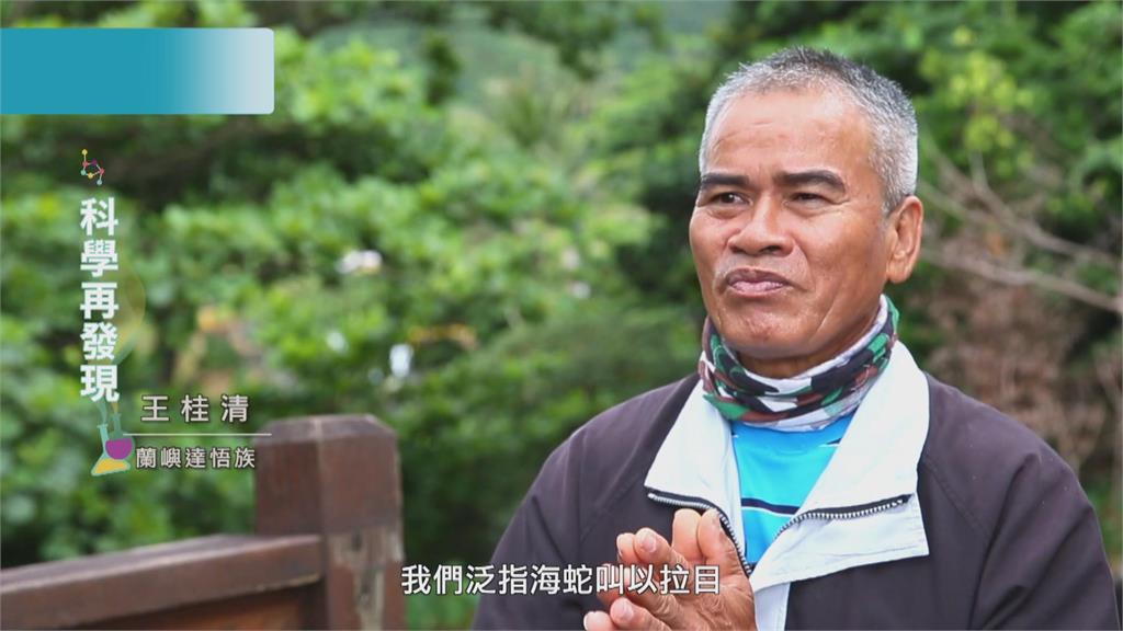 蘭嶼珊瑚礁生態　與海蛇深度共游