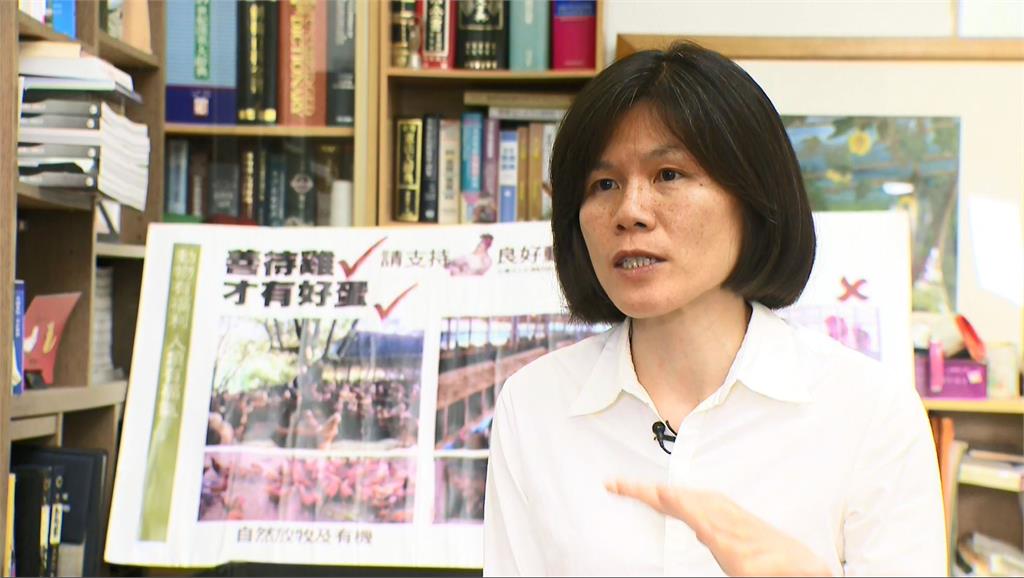 毒蛋怎麼來？　蛋農揭市售95%蛋都是「籠飼蛋」成關鍵